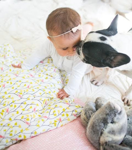 Organic Toddler Pillow Case, Organic Toddler Pillow Cover - Pink Birds